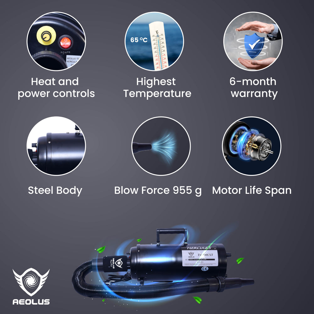 pet dryer for sensitive pets, pet dryer with adjustable speed, pet dryer with adjustable temperature, pet dryer with multiple nozzles, pet dryer with stand, pet dryer with wheels, pet dryer with hose, pet dryer with filter, pet dryer with low noise, pet dryer with safety features, best pet dryer, top rated pet dryer, affordable pet dryer, durable pet dryer, reliable pet dryer, efficient pet dryer