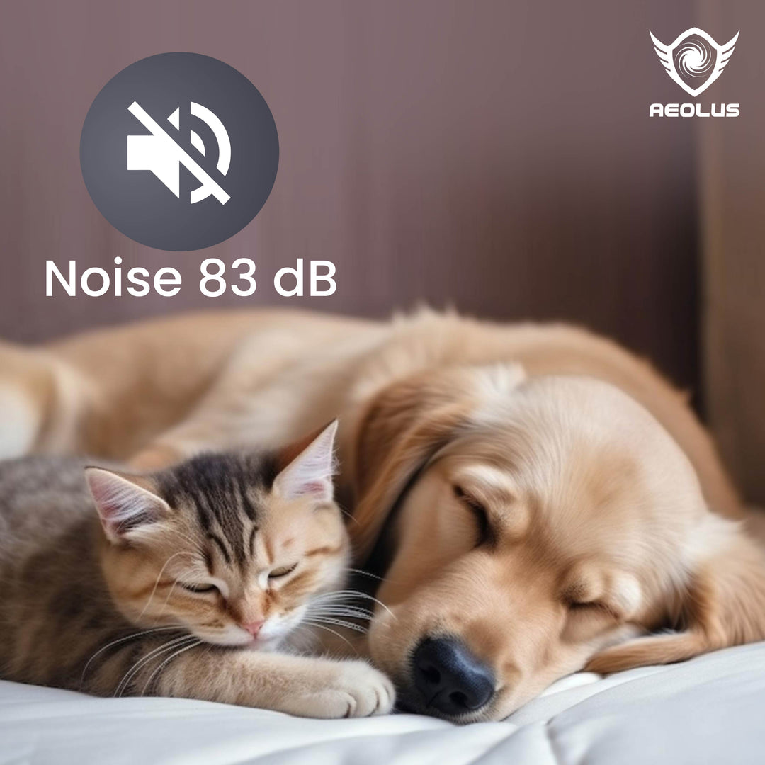 pet dryer with heater, pet grooming, dog drying, cat drying, pet hair dryer, force dryer, pet blower, pet drying tool, high velocity pet dryer, warm air pet drying, adjustable heat settings, variable speed control, efficient pet care, fast drying, home pet grooming, professional pet salons, portable pet dryer, powerful pet dryer, reliable pet drying tool, durable pet drying solution