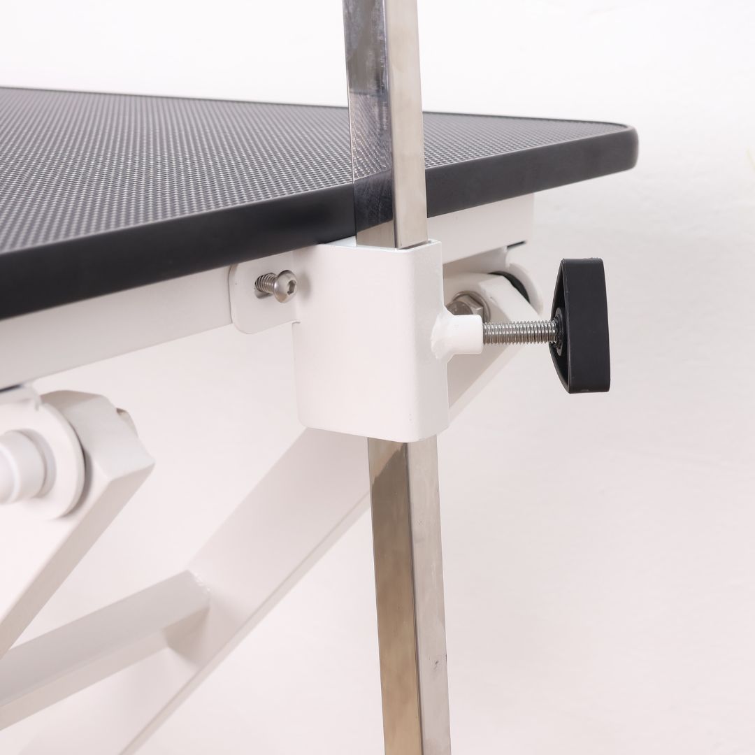 grooming table purple, grooming table pet, grooming table lead, groomers helper table, grooming table collar, vidaxl grooming table, notes from the grooming table yorkshire terrier, grooming table 3d model, grooming table control box, grooming table tool holder, grooming table for extra large dogs, grooming table for big dogs, groomers table mat, grooming table matt, grooming table with foot pump, outdoor grooming table, grooming table pedal, grooming table clip, grooming table with sling, groomers table di