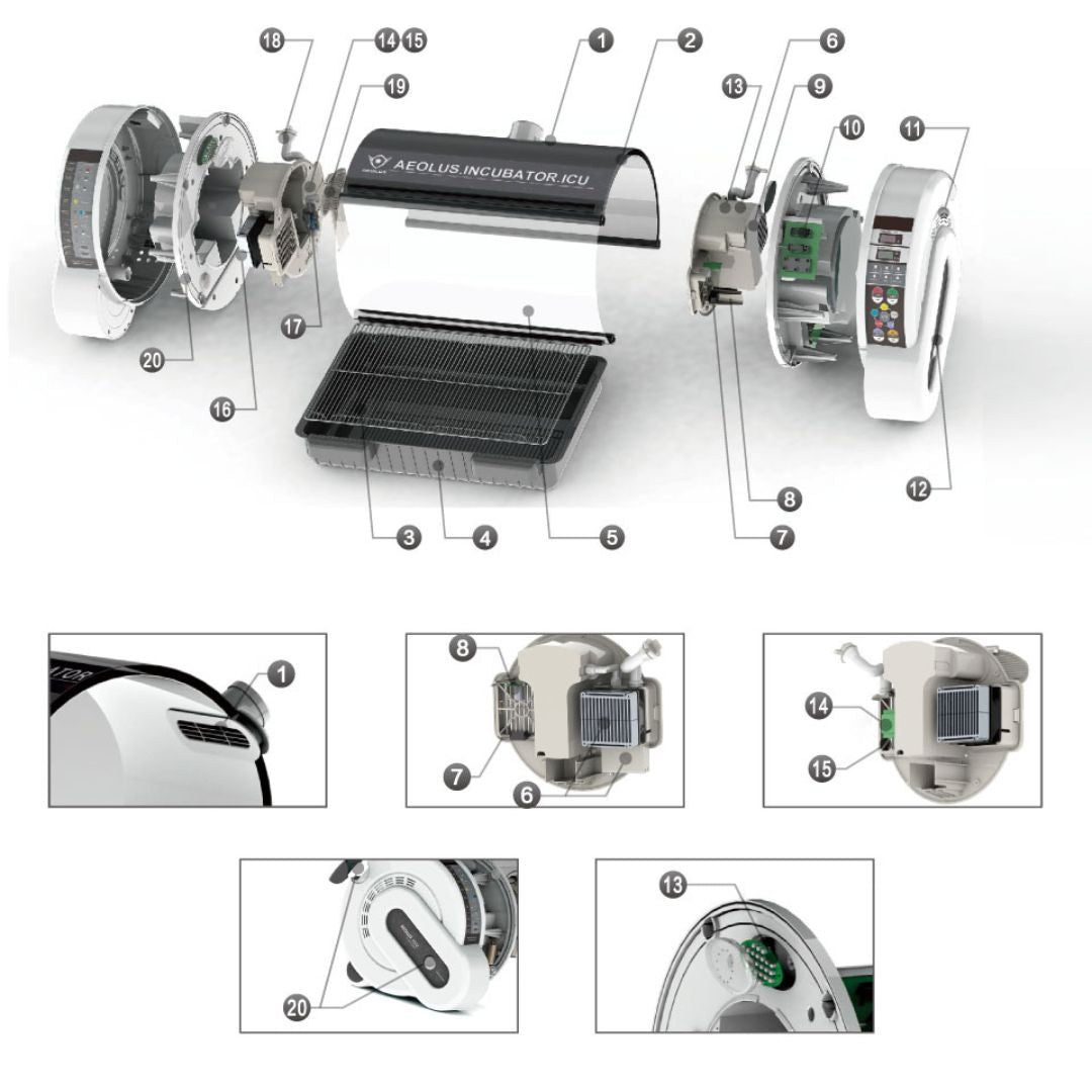 pet incubator ragnarok, pet incubator australia, incubator pet brooder 90, pet scene incubator reviews, pet incubator,  pet incubator ro, pet incubator ragnarok,  pet incubator game, pet incubator record, pet incubator for sale, pet brooder 90 incubator