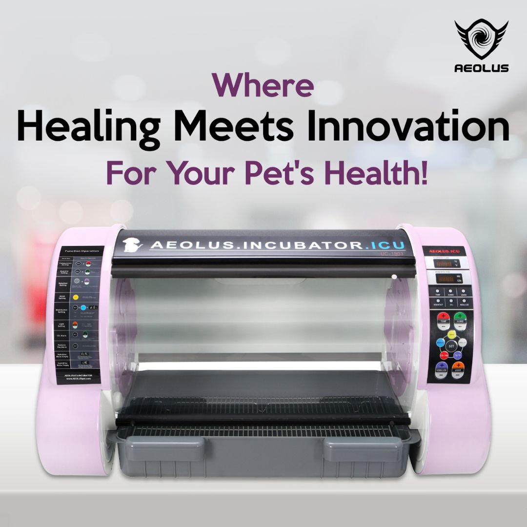 affordable pet incubator, professional pet incubator, veterinary pet incubator, home use pet incubator, incubator for premature pets, incubator for weak pets, incubator for post-surgery recovery, incubator for supportive care, incubator for critical care, pet incubator rental, used pet incubator, DIY pet incubator, pet incubator reviews, pet incubator buying guide