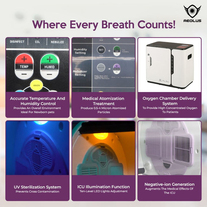 pet oxygen therapy incubator, pet humidity controlled incubator, pet temperature controlled incubator, pet incubator for home use, pet incubator for veterinary clinic, pet incubator for breeders, pet incubator for rescues, portable pet incubator, collapsible pet incubator, digital pet incubator, manual pet incubator, large pet incubator, small pet incubator, incubator for newborn pets, incubator for sick pets, incubator for injured pets
