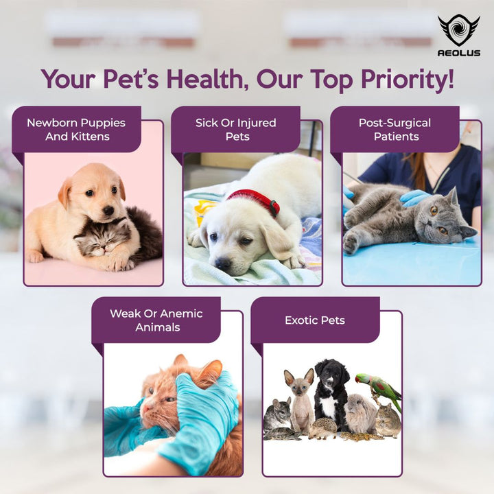 pet incubator for breeders, pet incubator for rescues, portable pet incubator, collapsible pet incubator, digital pet incubator, manual pet incubator, large pet incubator, small pet incubator, incubator for newborn pets, incubator for sick pets, incubator for injured pets, pet recovery incubator, pet critical care incubator, pet oxygen cage, pet oxygen therapy cage, pet humidity control cage, pet temperature control cage