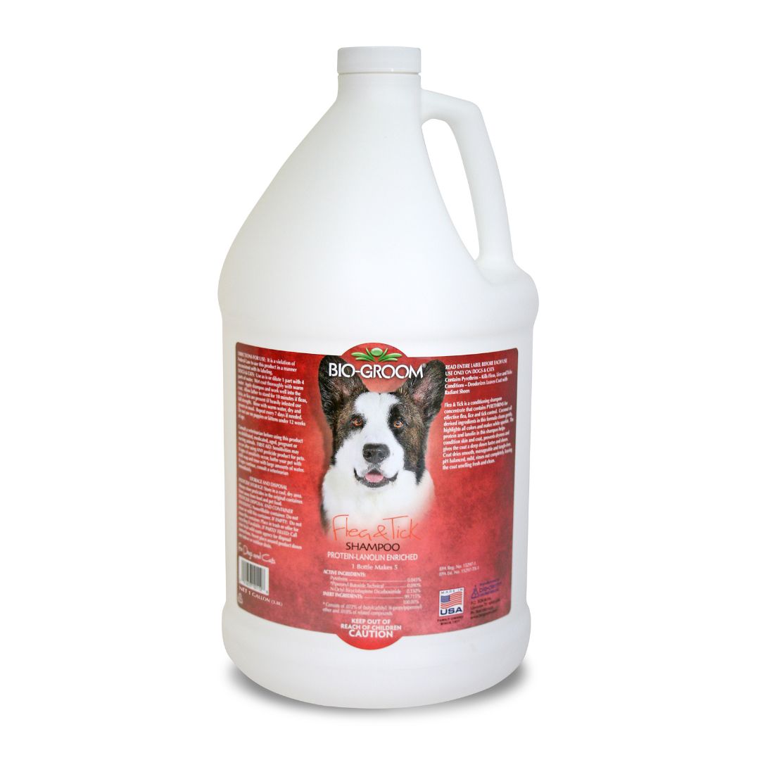 brightening shampoo, odor eliminating shampoo, waterless shampoo, dry shampoo, shampoo bar, pet shampoo, dog shampoo, cat shampoo, small animal shampoo, bird shampoo, best pet shampoo, top pet shampoo, buy pet shampoo, pet shampoo online, pet shampoo for sale, natural pet shampoo, organic pet shampoo, hypoallergenic pet shampoo, flea and tick shampoo for pets, medicated pet shampoo, puppy shampoo, kitten shampoo, sensitive skin pet shampoo, deodorizing pet shampoo, moisturizing pet shampoo