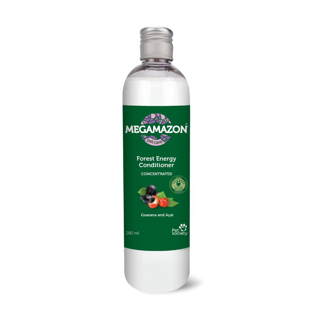 itchy scalp conditioner, sensitive scalp conditioner, hypoallergenic conditioner, medicated conditioner, professional conditioner, salon conditioner, cheap conditioner, discount conditioner, gentle conditioner, daily conditioner, deep conditioning treatment, nourishing conditioner, revitalizing conditioner, repairing conditioner, smoothing conditioner, frizz control conditioner, curl enhancing conditioner, texturizing conditioner, baby conditioner, kids conditioner, pet conditioner, leave-in conditioner