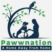Pawwnation