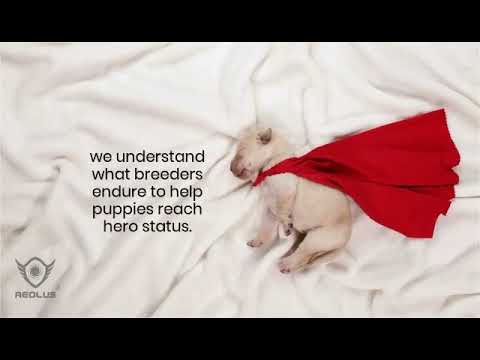 pet incubator with alarm system, pet incubator with adjustable temperature, pet incubator with adjustable humidity, pet incubator with easy cleaning, pet incubator with durable construction, best pet incubator, top rated pet incubator, affordable pet incubator, professional pet incubator, veterinary pet incubator, home use pet incubator, incubator for premature pets, incubator for weak pets