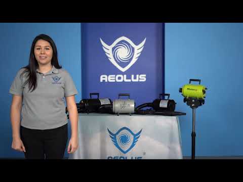 Aeolian Blaster Single Motor Pet Dryer