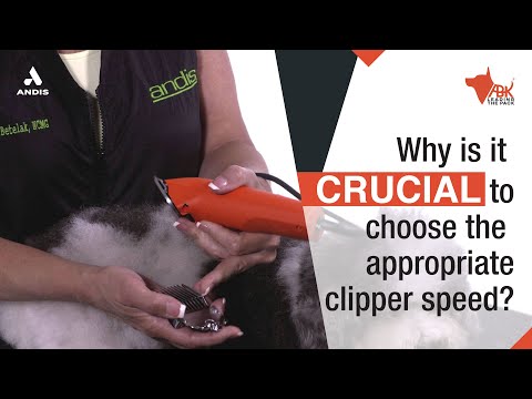 andis dog‑grooming clippers, reliable clipper, andis ultra-edge clippers, pet grooming clipper, andis easy‑clean clippers, pro-level clipper, andis breed-specific clippers, long-run clipper, andis corded clippers, noise-reduction clipperandis surgical‑prep clippers, clipper kit clipper, andis small-claw clippers, ceramic-edge clipper, andis grooming‑kit clippers, brushless motor clipper, andis rotary clippers, clipper blade chart, andis professional clippers, adjustable-blade clipper