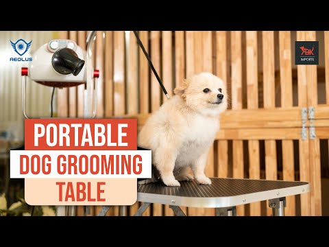 bride groom table ideas, grooming table for cats, groom table ideas, goat grooming table, grooming table hydraulic pump, dog grooming table near me, portable dog grooming table uk, dog grooming table for home use, pet dog grooming table, dog grooming table second hand, dog grooming table foldable, dog grooming table clamp, dog grooming table for home, dog grooming table leash, dog grooming table portable, dog grooming table for sale near me, dog grooming table pink