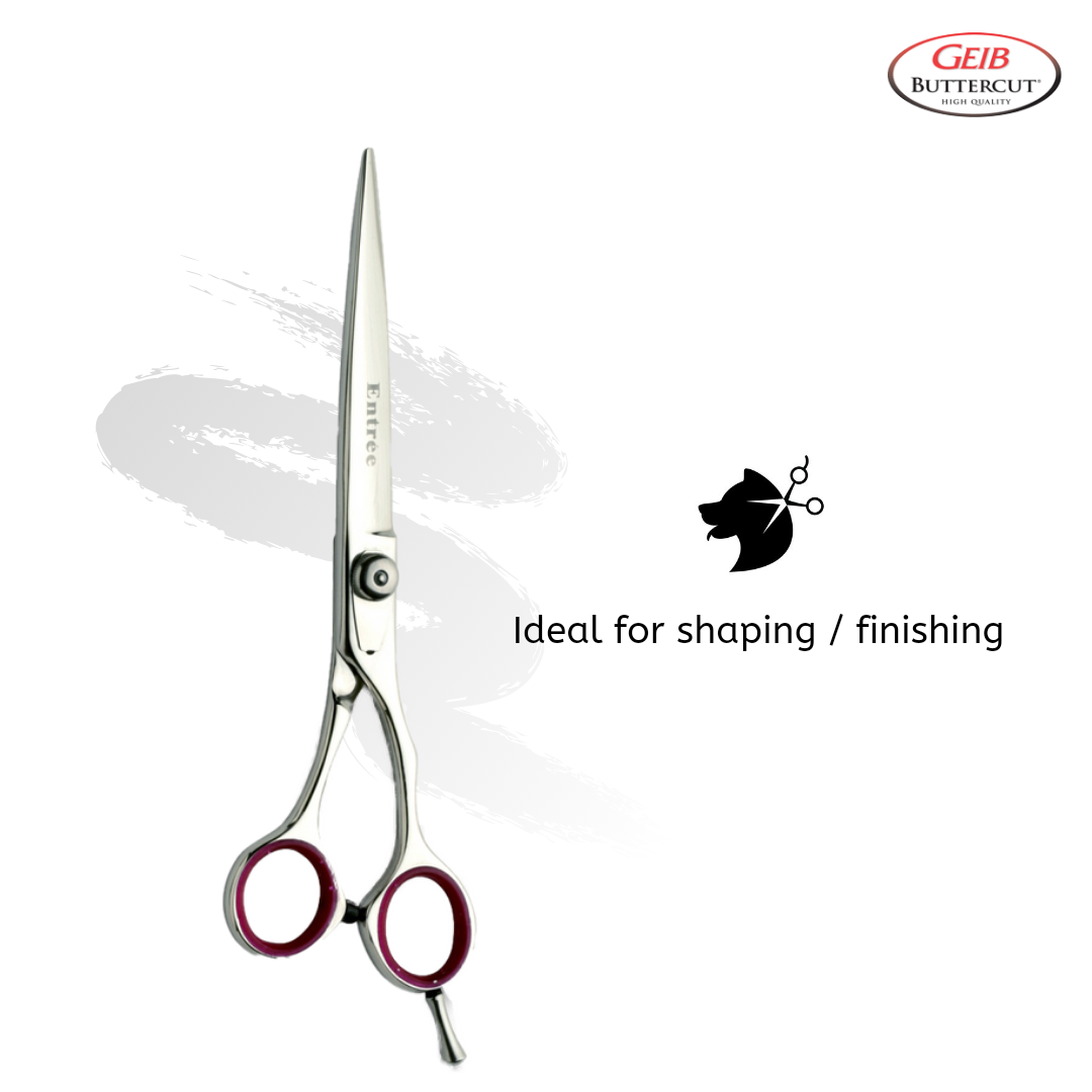 best pet grooming straight scissors for dogs, best pet grooming straight scissors for cats, best pet grooming straight scissors for puppies, best pet grooming straight scissors for kittens, best pet grooming straight scissors for long hair, best pet grooming straight scissors for short hair, best pet grooming straight scissors for thick coats, best pet grooming straight scissors for delicate coats