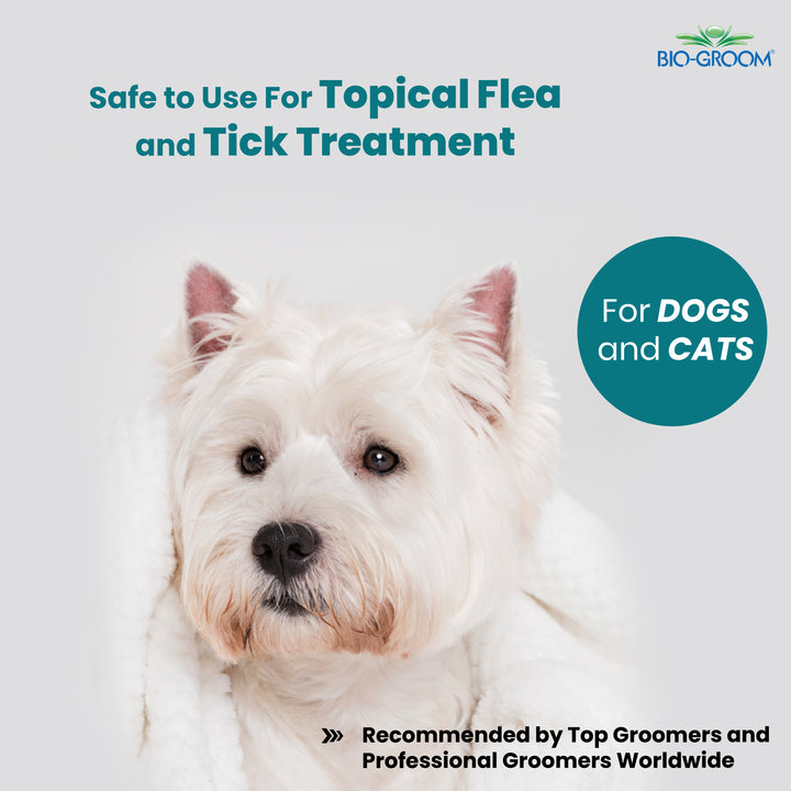 pet conditioner online, pet conditioner for sale, natural pet conditioner, organic pet conditioner, hypoallergenic pet conditioner, flea and tick conditioner for pets, medicated pet conditioner, puppy conditioner, kitten conditioner, sensitive skin pet conditioner, deodorizing pet conditioner, moisturizing pet conditioner, detangling pet conditioner for pets, leave-in pet conditioner, rinse-out pet conditioner, oatmeal pet conditioner, gentle pet conditioner, vet recommended pet conditioner