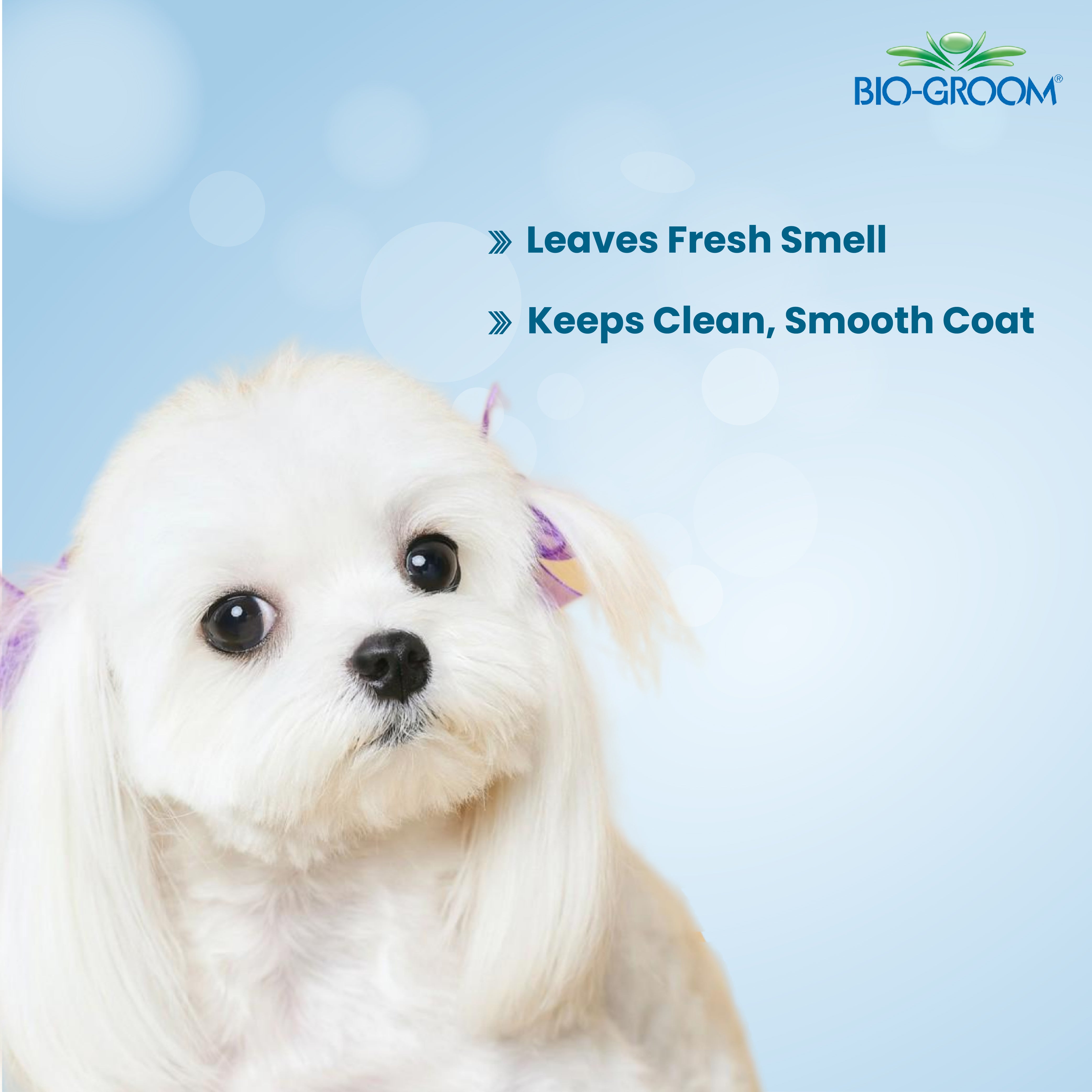 Biogroom Super White Coat Brightener Pet Shampoo for Cats and Dogs-355 ml