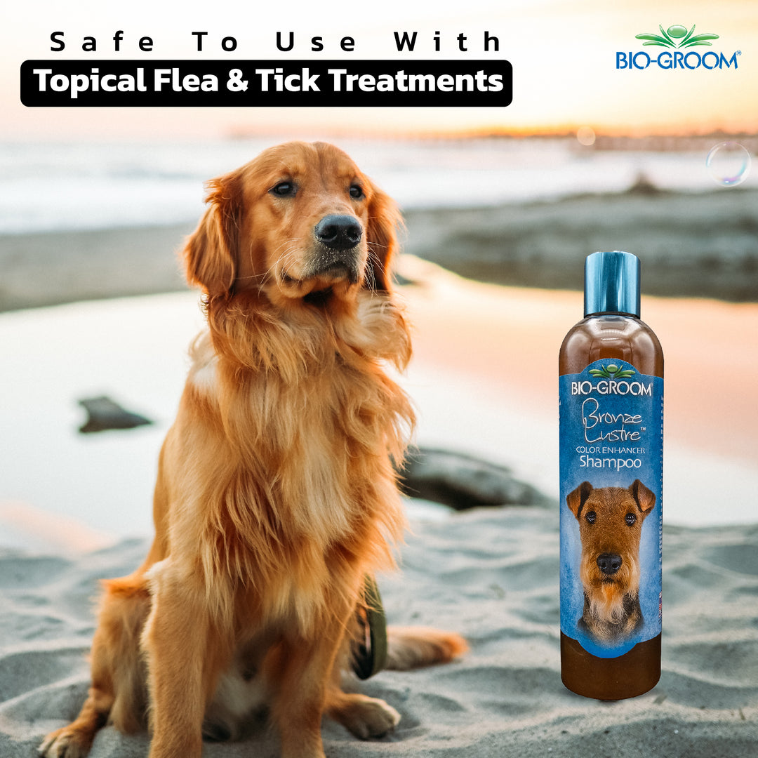 bio-groom natural oatmeal dog shampoo, bio groom oatmeal dog shampoo, bio groom black.dog.shampoo, cat Biogroom shampoo, bio groom cat shampoo, bio groom purrfect white cat shampoo, do pet groomers groom cats, do pet groomers wash cats, can i wash cat with shampoo, cat shampoo vs human shampoo, how do groomers groom a cat, bio groom shampoo, bio groom pet shampoo, cat hair growth shampoo