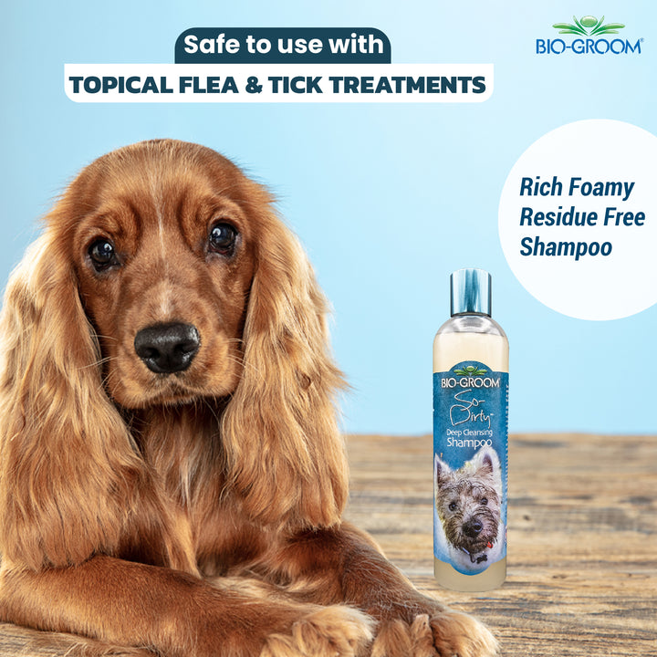 bio groom shampoo, bio groom shampoo, bio groom conditioner, biogroom desert agave, biogroom desert agave cologne, bio groom waterless shampoo, bio groom ear powder, bio groom ear cleaner, biogroom desert agave scent, biogroom south africa, bio groom shampoo, bio groom shampoo reviews, bio groom shampoo super white, bio groom shampoo cat, bio groom shampoo for shih tzu, bio groom shampoo and conditioner