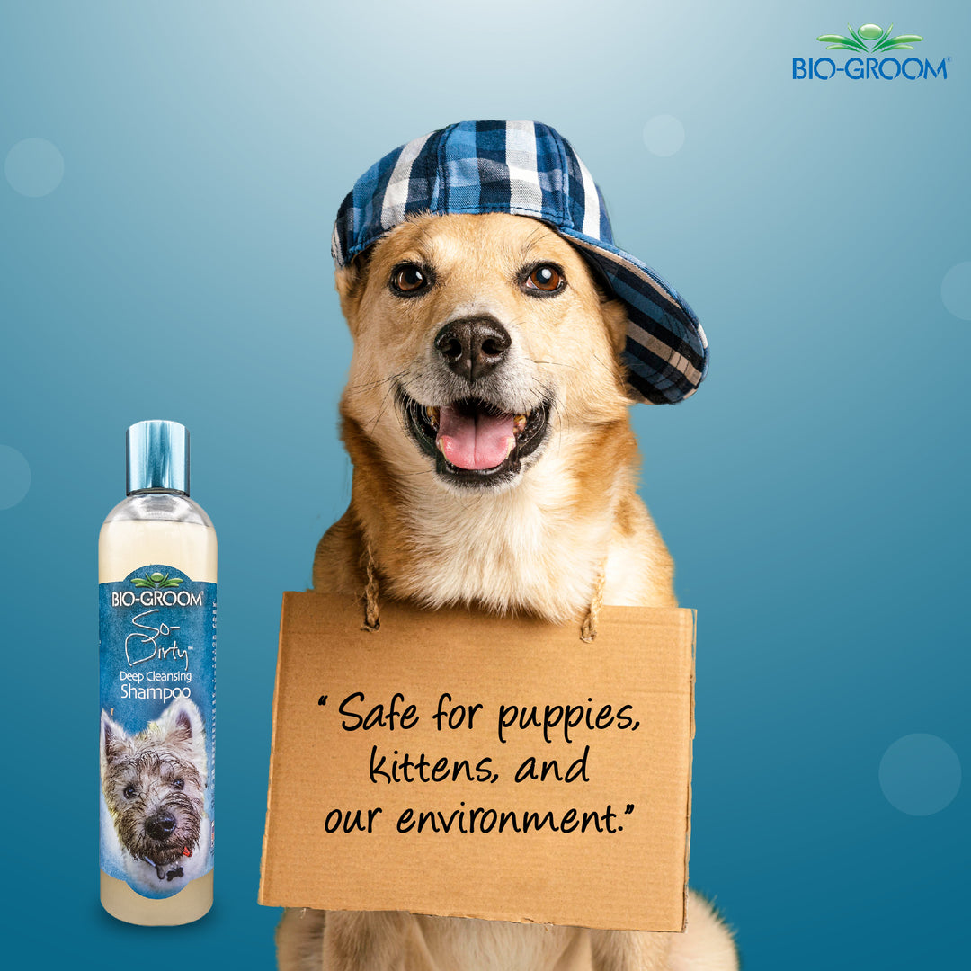 bio groom shampoo nearby, bio groom shampoo amazon, bio groom shampoo puppies, bio groom shampoo black, biogroom pets, bio groom pet shampoo, bio groom shampoo, bio groom cat shampoo, bio groom waterless dog shampoo, bio groom conditioner, bio groom pet shampoo, bio groom dog shampoo reviews, bio groom dog spray, bio groom super white pet shampoo