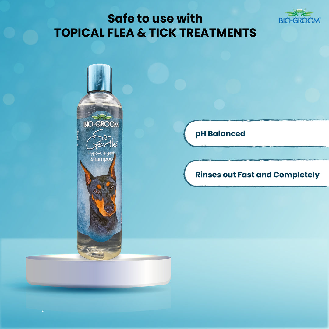 bio groom shampoo, bio groom shampoo reviews, bio groom shampoo super white, bio groom shampoo cat, bio groom shampoo for shih tzu, bio groom shampoo and conditioner, bio groom shampoo nearby, bio groom shampoo amazon, bio groom shampoo puppies, bio groom shampoo black, biogroom pets, bio groom pet shampoo, bio groom shampoo, bio groom cat shampoo, bio groom waterless dog shampoo, bio groom conditioner, bio groom pet shampoo