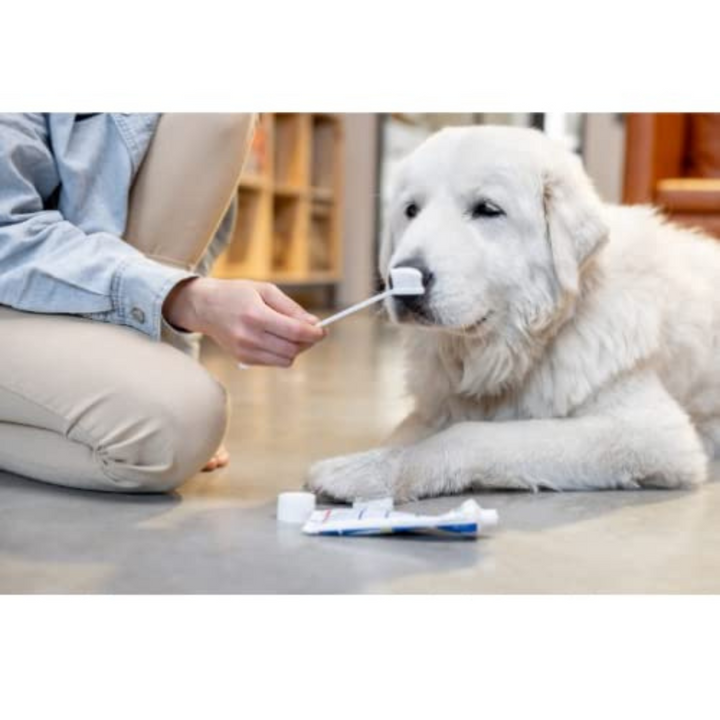 Trixie Dog Dental Hygiene Kit