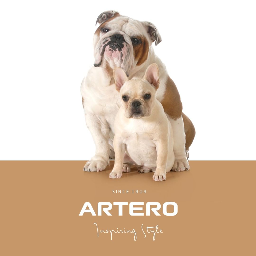 Artero Expert Scissor Case