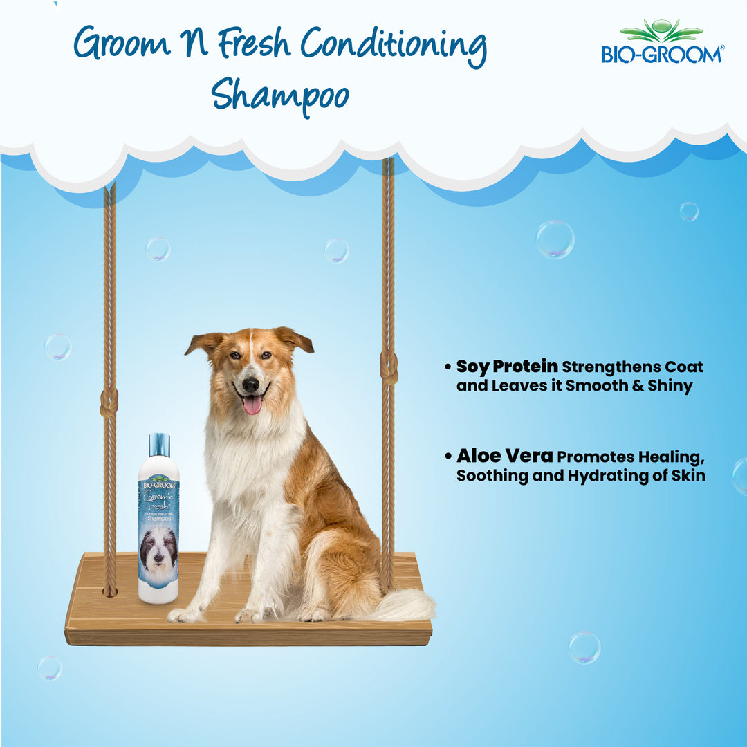 bio groom cologne,bio-groom desert agave, bio-groom so stinky, bio groom waterless shampoo, bio groom econo groom , bio groom shampoo, bio groom shampoo, bio groom conditioner, biogroom desert agave, biogroom desert agave cologne, bio groom waterless shampoo, bio groom ear powder, bio groom ear cleaner, biogroom desert agave scent, biogroom south africa, bio groom shampoo, bio groom shampoo reviews, bio groom shampoo super white
