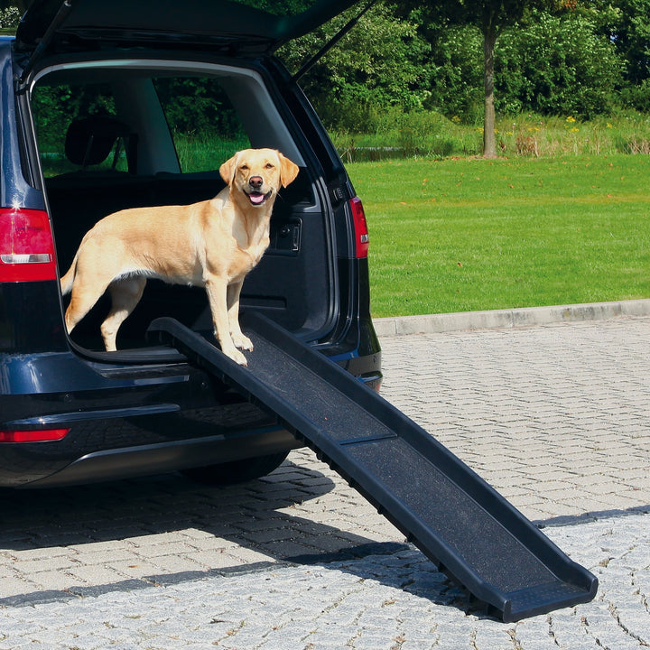 Trixie Petwalk Folding Ramp - abkgrooming