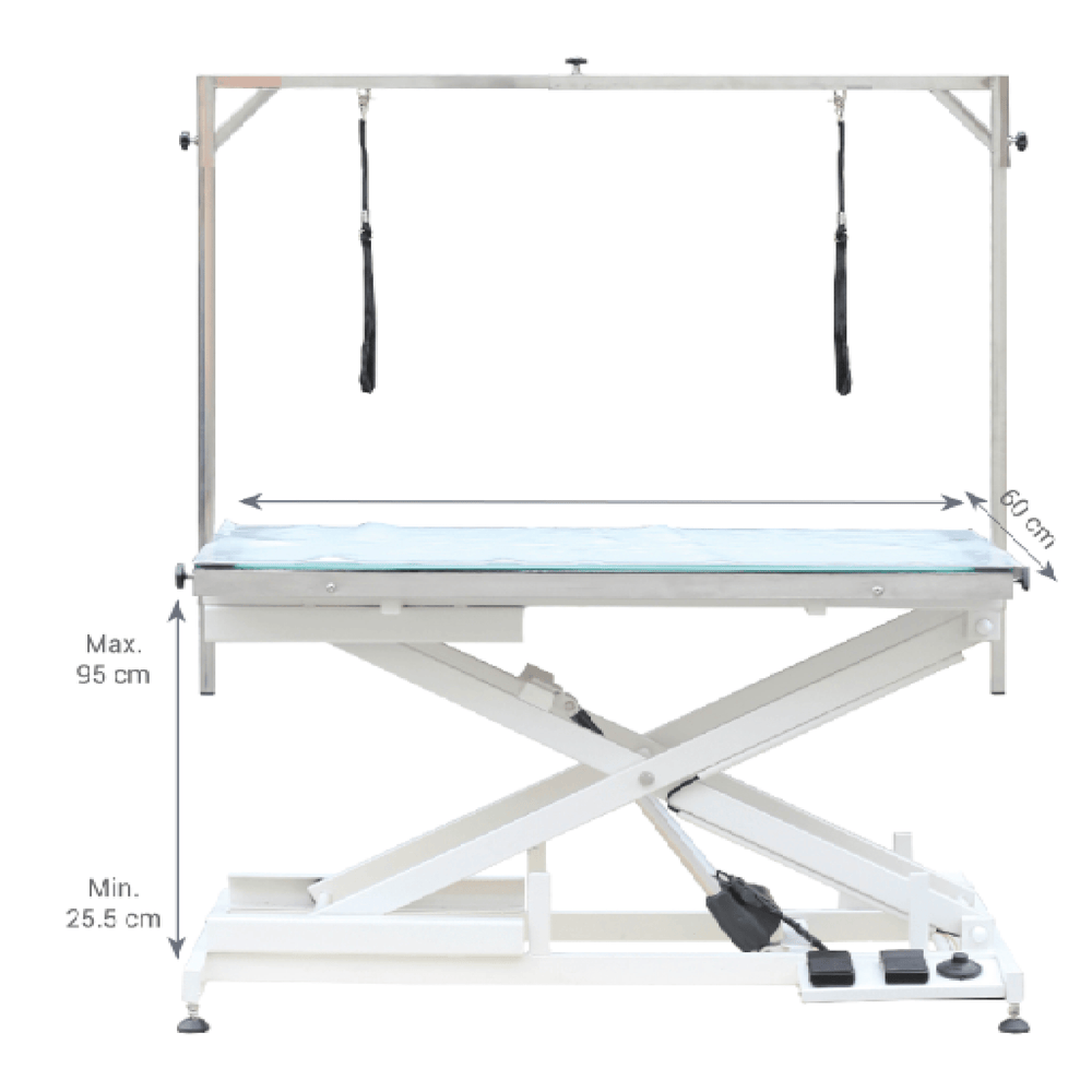 grooming table mobile, grooming table naples, grooming table nz, grooming table on sale, grooming table pad, grooming table pink, groom professional table, grooming table repair, grooming table revit, grooming table risers, grooming table ramp, grooming table set up, grooming table sale, grooming table storage, grooming table size for standard poodle, grooming table tidy, hydraulic grooming table troubleshooting, grooming table vacuum, grooming table with adjustable legs