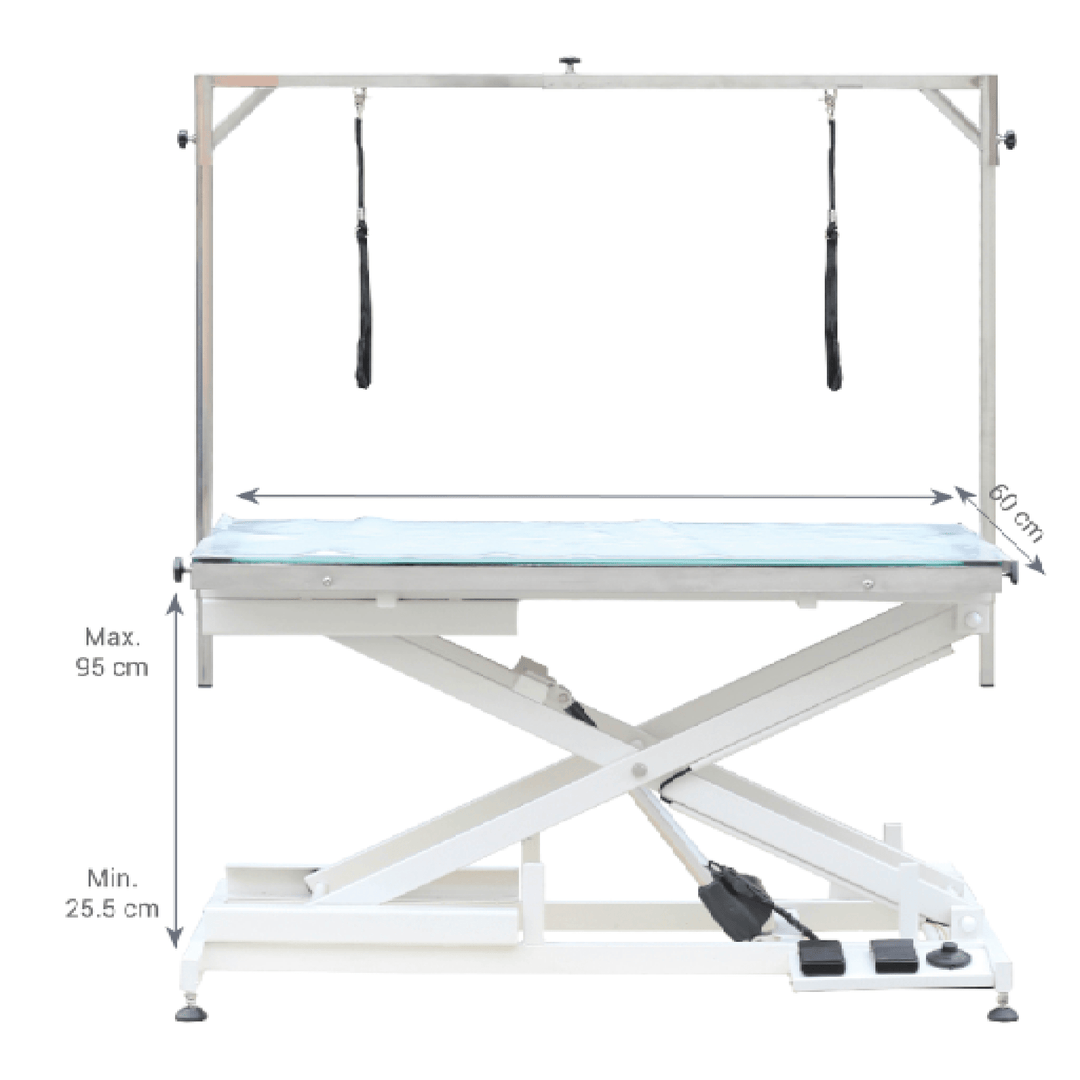 grooming table mobile, grooming table naples, grooming table nz, grooming table on sale, grooming table pad, grooming table pink, groom professional table, grooming table repair, grooming table revit, grooming table risers, grooming table ramp, grooming table set up, grooming table sale, grooming table storage, grooming table size for standard poodle, grooming table tidy, hydraulic grooming table troubleshooting, grooming table vacuum, grooming table with adjustable legs