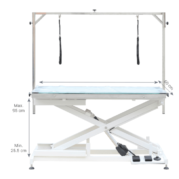 grooming table mobile, grooming table naples, grooming table nz, grooming table on sale, grooming table pad, grooming table pink, groom professional table, grooming table repair, grooming table revit, grooming table risers, grooming table ramp, grooming table set up, grooming table sale, grooming table storage, grooming table size for standard poodle, grooming table tidy, hydraulic grooming table troubleshooting, grooming table vacuum, grooming table with adjustable legs
