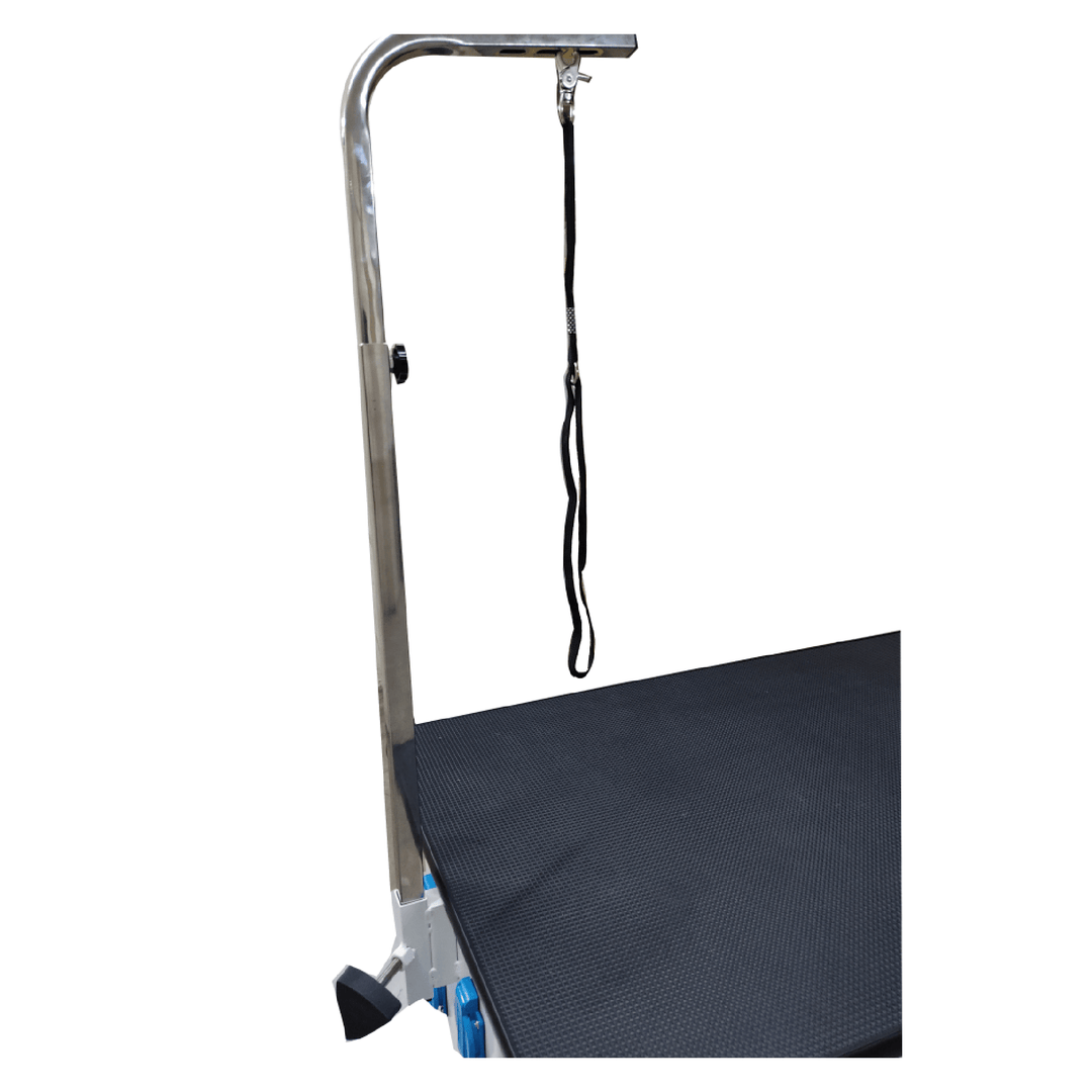 used pet grooming table, dog grooming table adjustable height, dog grooming table used, dog grooming table cover, dog grooming table arm with clamp, dog grooming table size, dog grooming table noose, dog grooming table height, dog grooming table parts, grooming table with lights, 24 grooming table, grooming table for home, grooming table for dogs argos, 60 grooming table, grooming table argos, grooming table actuator, grooming table appointment, grooming table backdrop