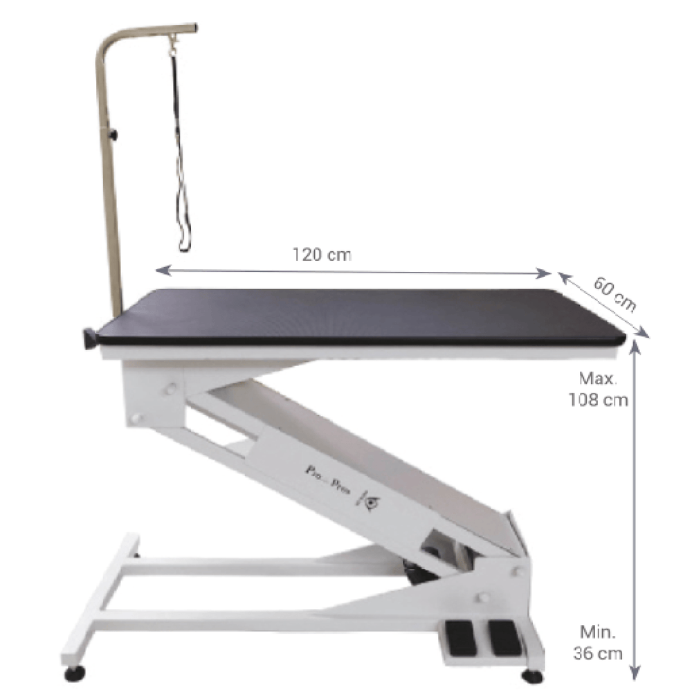 pet grooming table portable, dog grooming table black friday, dog grooming table rental, dog grooming table black, pet grooming khar, dog grooming table light, pet grooming table nz, pet edge dog grooming table, small dog grooming table nearby, dog grooming table petco, dog grooming table leg extenders, pet grooming table for cats, dog grooming table 36, dog grooming table revit, pet grooming table clamp, dog grooming table round, dog grooming table bath, dog grooming table h bar, go pet club grooming table