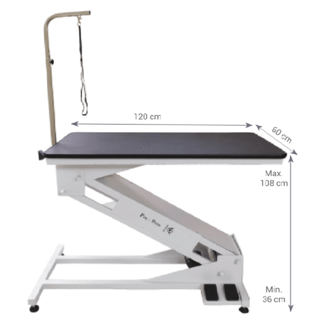 pet grooming table portable, dog grooming table black friday, dog grooming table rental, dog grooming table black, pet grooming khar, dog grooming table light, pet grooming table nz, pet edge dog grooming table, small dog grooming table nearby, dog grooming table petco, dog grooming table leg extenders, pet grooming table for cats, dog grooming table 36, dog grooming table revit, pet grooming table clamp, dog grooming table round, dog grooming table bath, dog grooming table h bar, go pet club grooming table