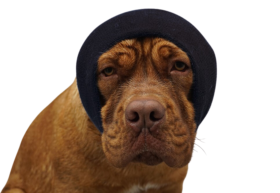 Happy Hoodie, XL (Black)