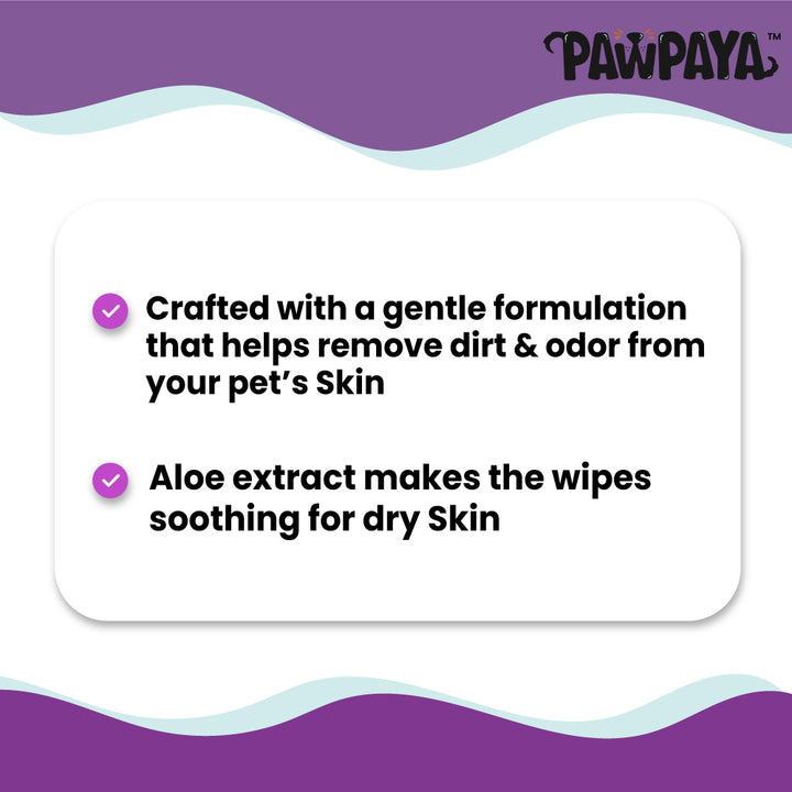 hypoallergenic pet wipes for face, wipes to clean dog paws after walk, deodorizing pet wipes for travel, eco-friendly pet wipes with aloe vera, pet wipes safe for licking, pet wipes for quick cleanups, multi-purpose pet wipes, pet wipes for shedding control, pet wipes for muddy paws, pet wipes Pune, buy pet wipes online India, pet wipes delivery Pune, best pet wipes store Pune