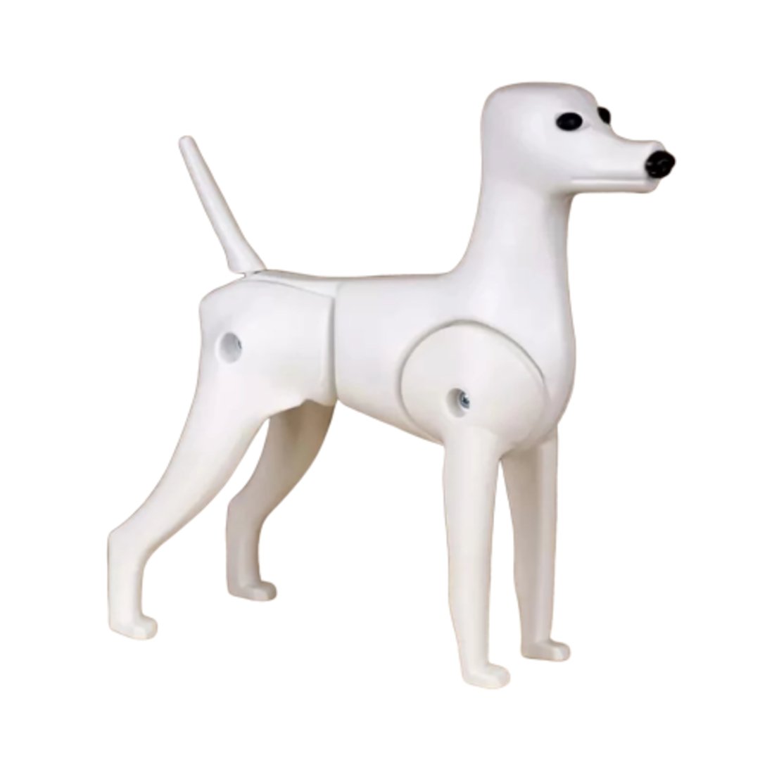 Opawz Model Dog - ABK Grooming Model Dog Grooming,Model Dogs For Grooming Practice,Dog Grooming Practice Model,Dog Grooming Tools, Grooming Tool, Pet Tools, Dogs Tools, Dog Grooming Tools, Grooming Tool, Pet Tools, Dogs Tools, Pet Groomer Tools, Pet Bathing Tools, Dog Hair Cutting Tools, Dog Hair Grooming Tools, Pet Grooming Tools For Sale,
