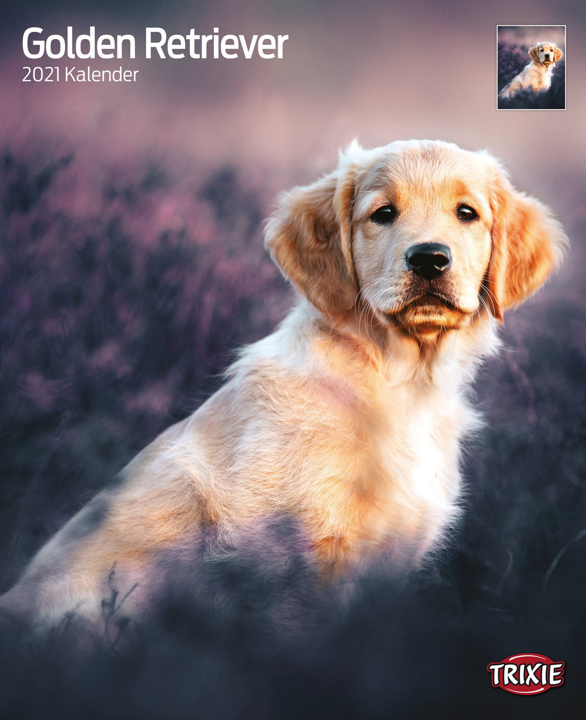 Grooming a golden retriever