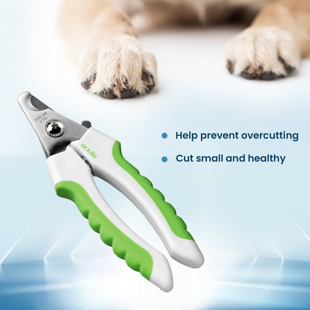 How to Trim Your Dog's Nails-Safely and Effectively – ABK grooming