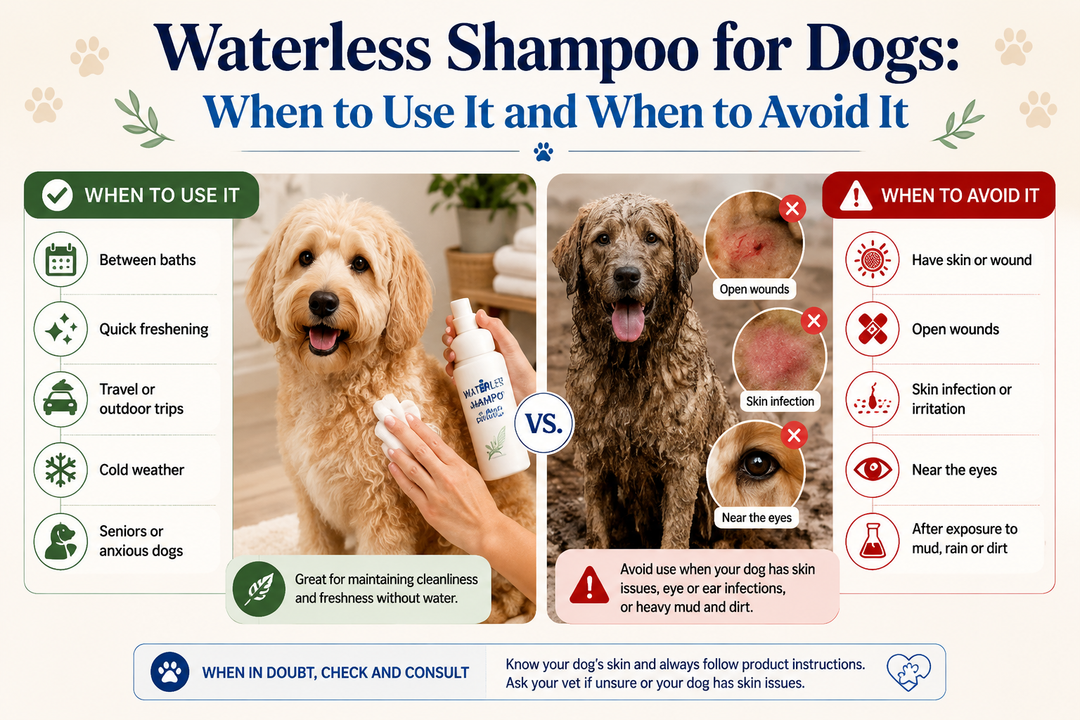 Waterless Shampoo for Dogs: When to Use It and When to Avoid It