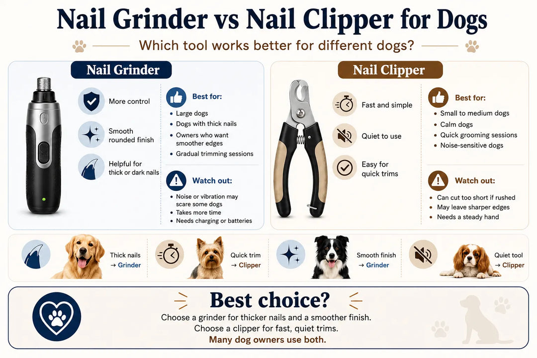 Dog Nail Grinder vs Clipper: Which Tool Is Safer and Better for Your Dog?