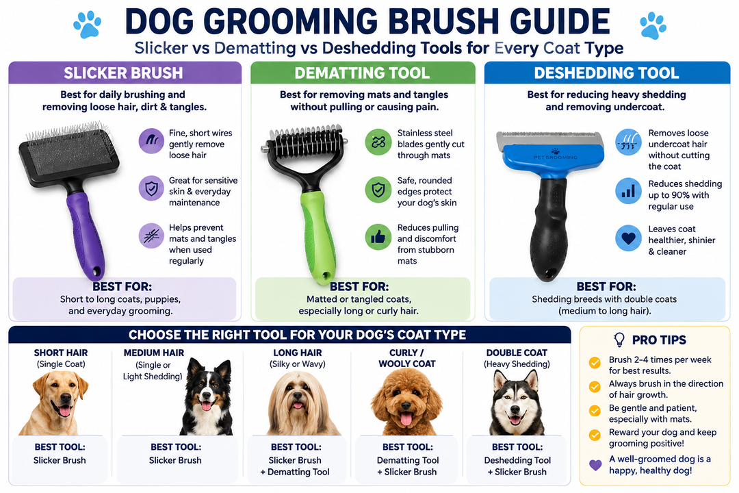 Dog Grooming Brush Guide: Slicker vs Dematting vs Deshedding