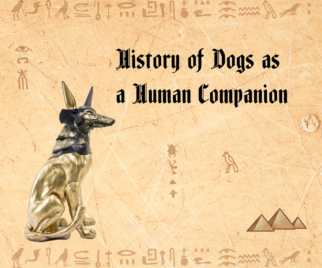 History of dogs as a Human Companions