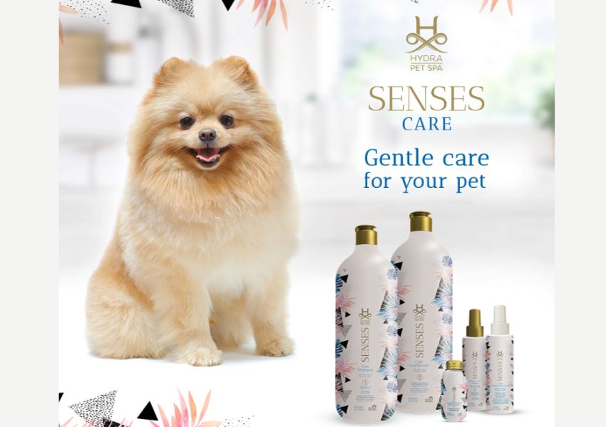 Hydra Pet Spa Senses Kit review Hydra Pet Spa Senses Kit price Hydra Pet Spa Senses Kit ingredients Hydra Pet Spa Senses Kit for dogs