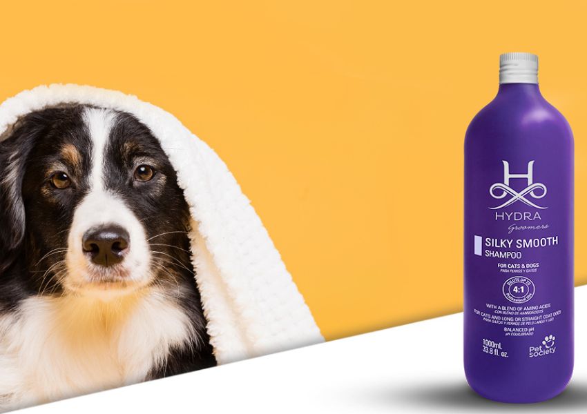 Dog shampoo near me online