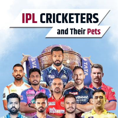 IPL Celebrity Cricketers and Their Pets