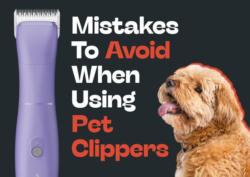Avoiding common mistakes when using pet clippers - best pet clippers for matted fur, rotary vs. pivot pet clippers, and tips for pet parents grooming at home.