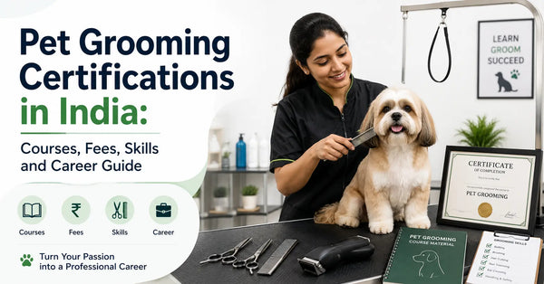 Pet Grooming Certifications in India | ABK Grooming Blog