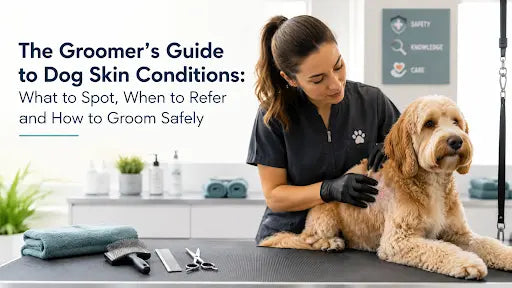 The Groomer’s Guide to Dog Skin Conditions: What to Spot, When to Refer and How to Groom Safely | ABK Grooming Blog