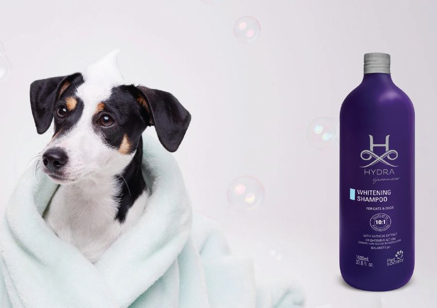 How to use Hydra shampoo for maximum whitening results, Hydra shampoo for puppies, Hydra shampoo for adult dogs, Hydra shampoo for daily use, Hydra shampoo for occasional use