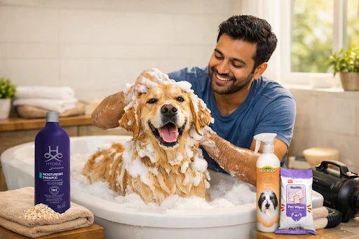 The Complete At-Home Dog Bath Guide - From Muddy Paws to Fluffy Tails