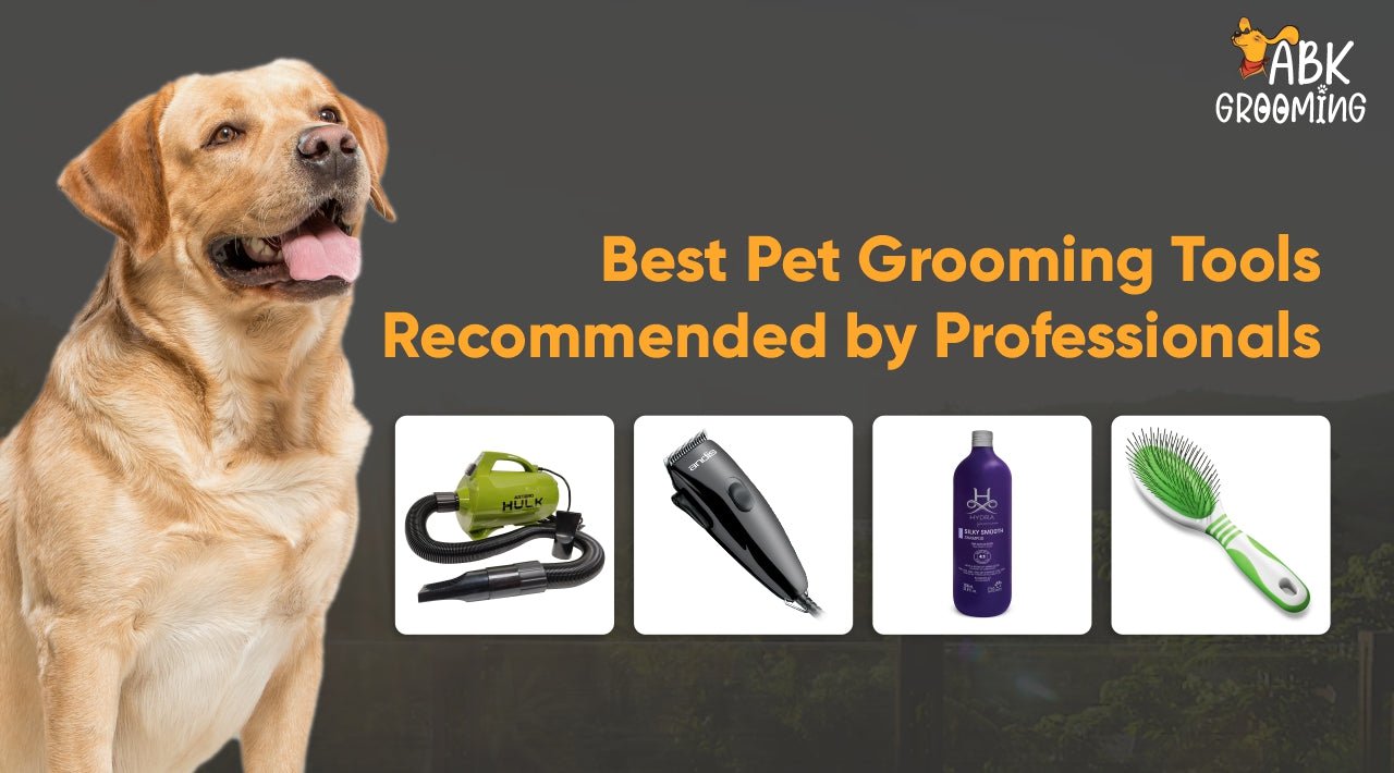 Best Pet Grooming Tools Recommended by Professionals | ABK Grooming ...