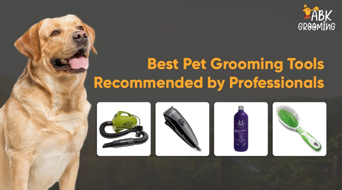 Best Pet Grooming Tools Recommended by Professionals - ABK Grooming